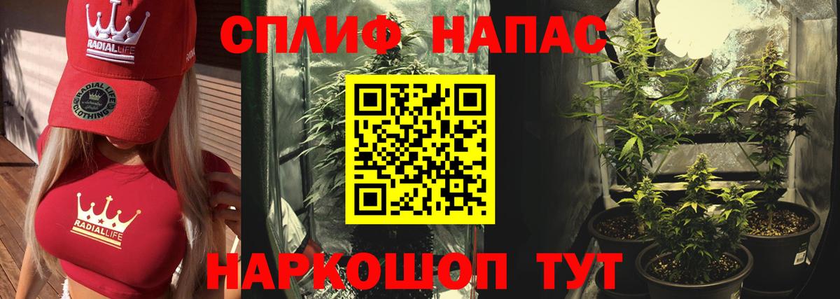 Марихуана планчик Коряжма